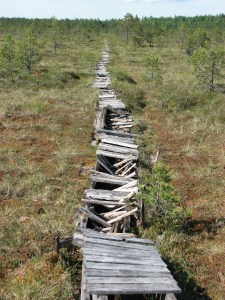 Martin Ivask - Fotolia